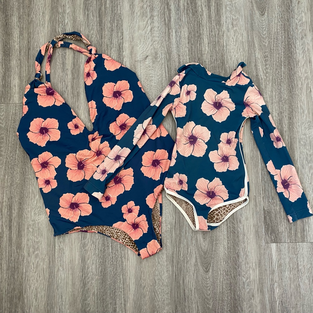 RARE beautiful acacia Hibiscus, L
